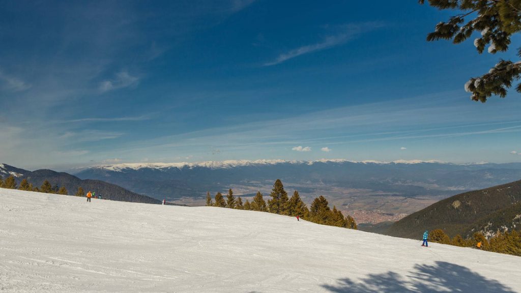 Sunny snow-covered ski slope in Bansko Bulgaria with pine trees and distant mountains winter scene Wallpaper