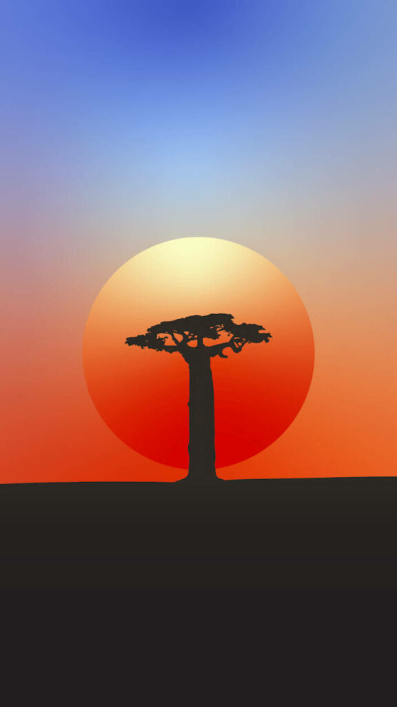 Stunning Baobab Tree Wallpaper: African Sunset & Vibrant Colors