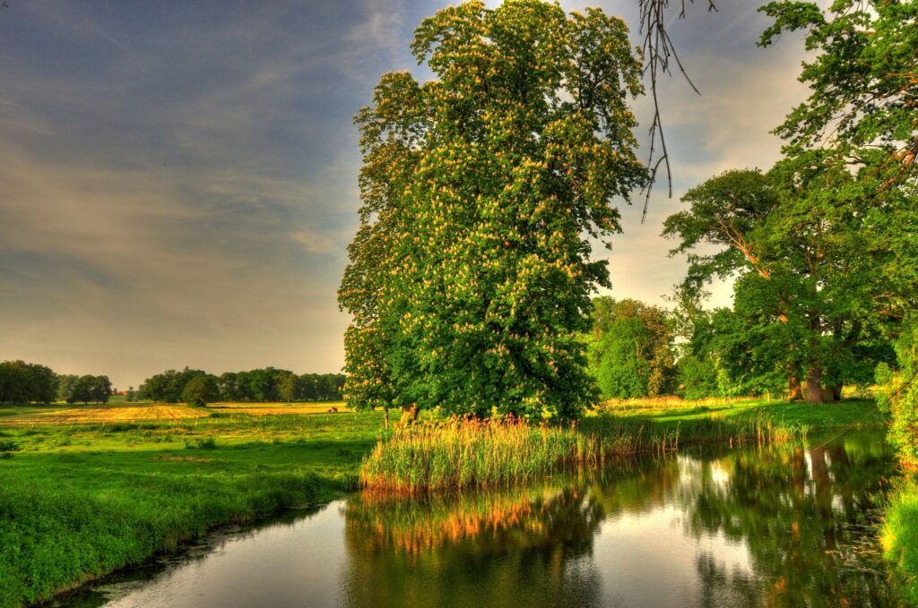 HDR wallpaper of lush green meadows trees and reflective river in serene Basedow Germany landscape