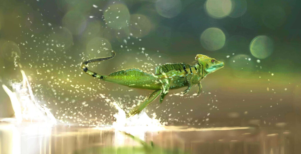 Basilisk lizard running on water surface with splashes natural blurred background wallpaper