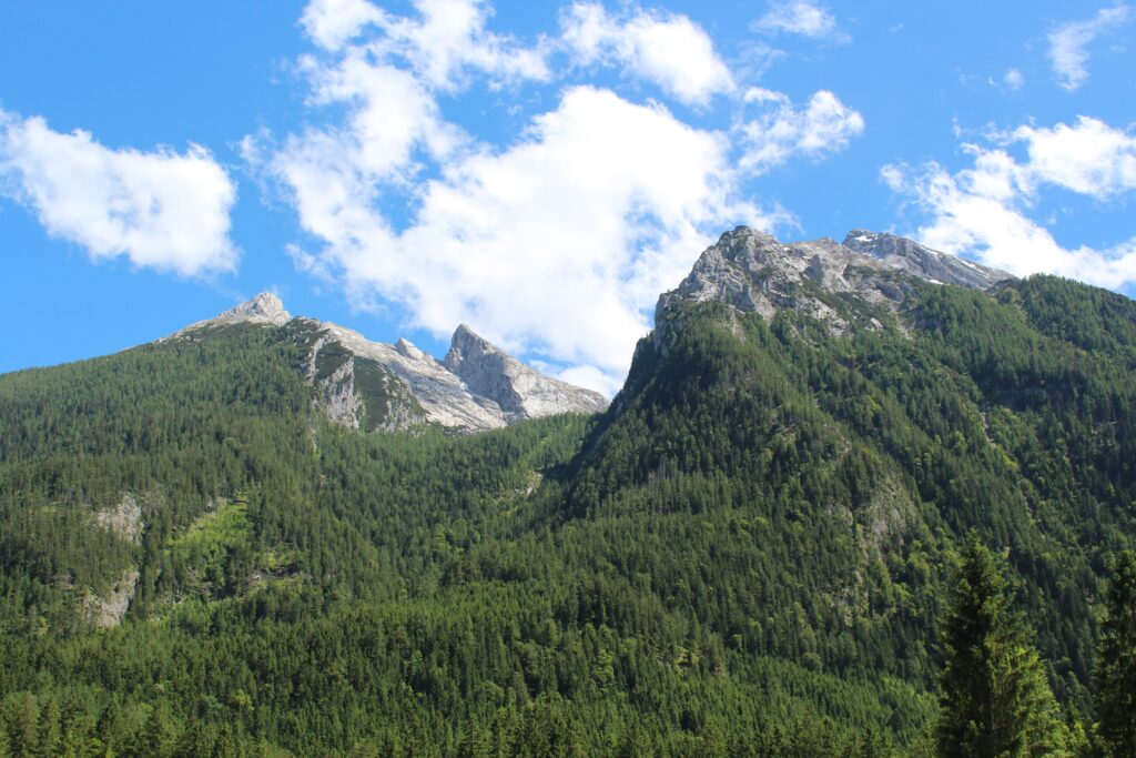 Hintersee Berchtesgaden wallpaper with vibrant green forest and rugged alpine mountains under blue sky