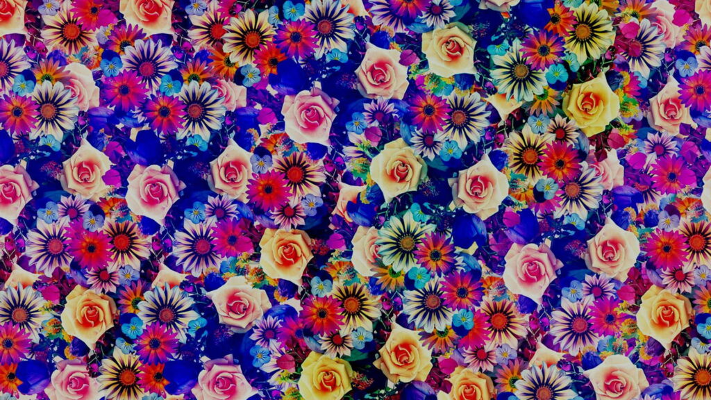 Blooming Colors: A Boho Background in HD Wallpaper