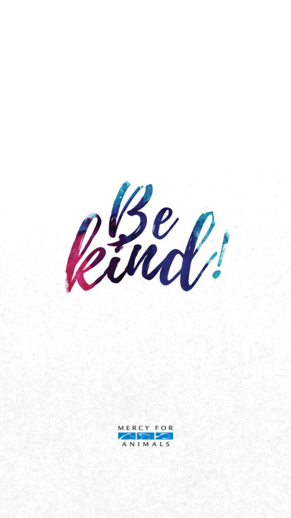 Minimalist Be Kind wallpaper with colorful artistic lettering on white background for kindness