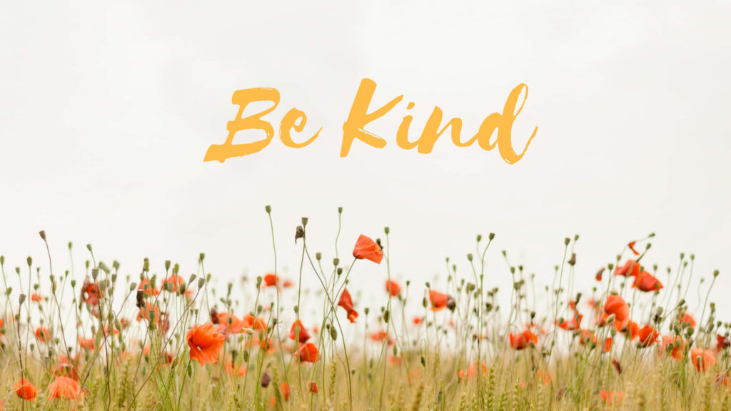 Orange poppies field under bright sky with Be Kind message peaceful uplifting wallpaper background