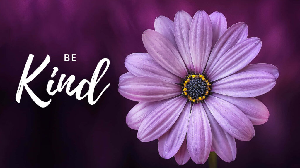 Gentle violet flower on soft purple background with Be Kind message calming wallpaper design