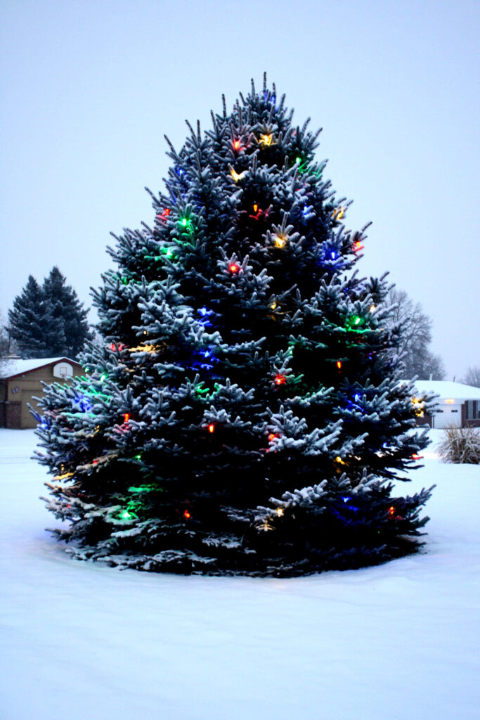 Festive Christmas Tree Sparkles in Serene Snowy Background Wallpaper