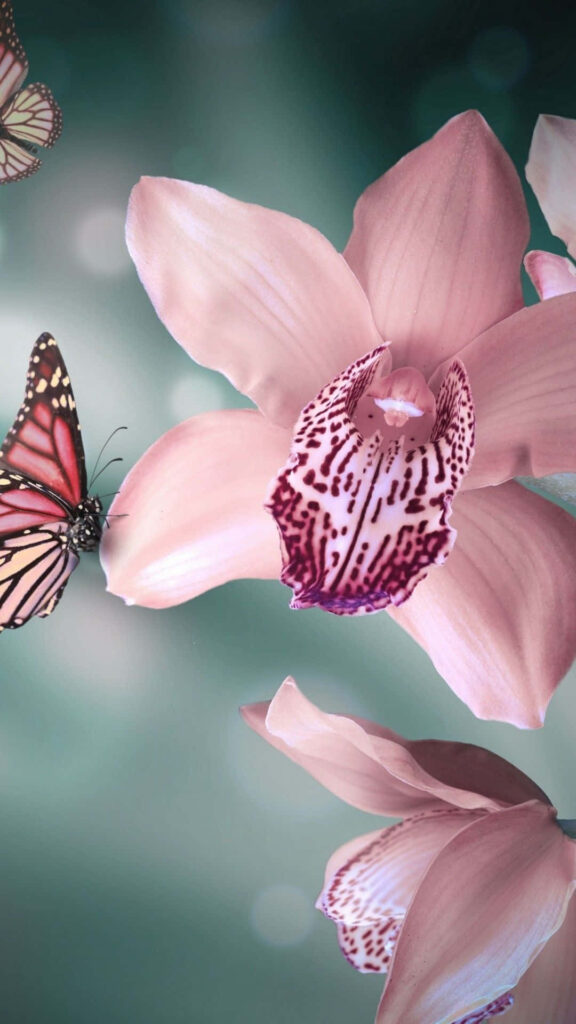 Serene Pink Orchids with Butterfly - Dreamy Nature Wallpaper