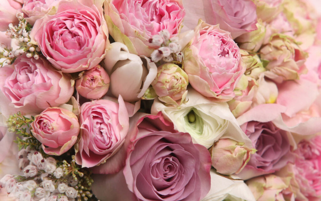Romantic Pink & Purple Rose Bouquet Wallpaper - Elegant Floral Background