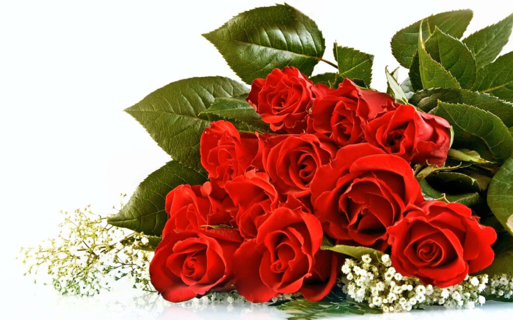 Elegant Red Roses Wallpaper - Vibrant Floral Background Design