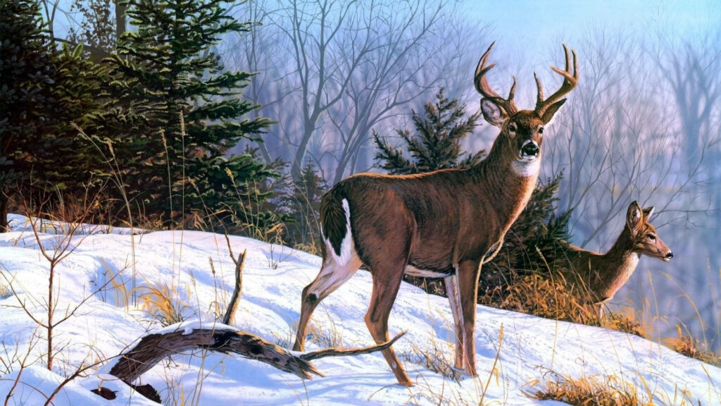 Winter Wonderland Wallpaper: Reindeer in Snowy Landscape