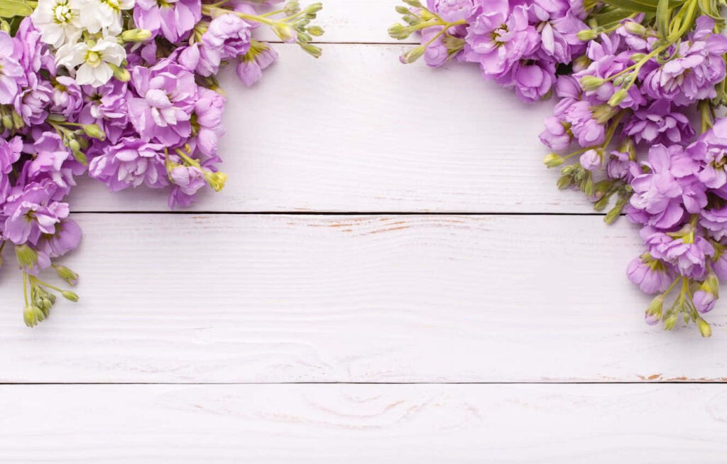 Spring Flowers: Purple Lilacs & Blossoms on White Wood Background Wallpaper
