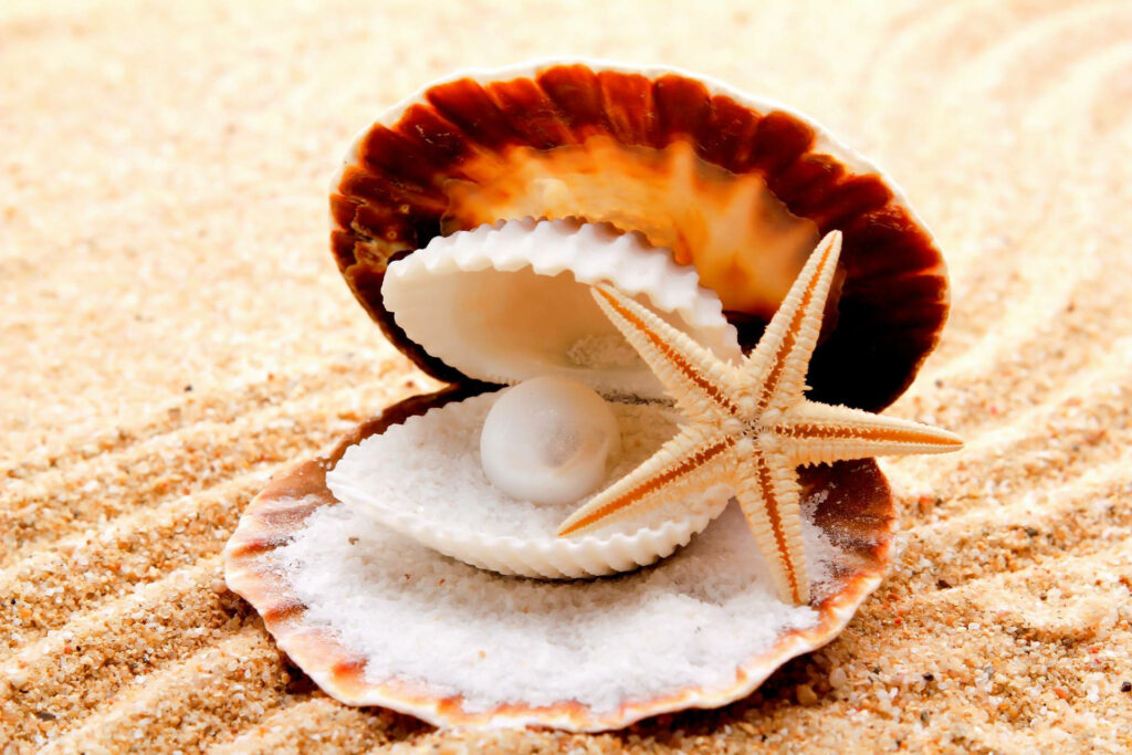 Starfish and Pearl Wallpaper: Beachy Seashell Background Art