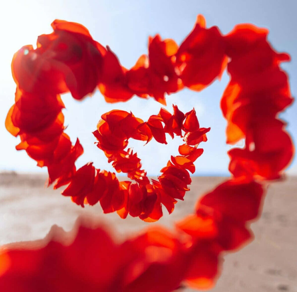 Valentine's Day Wallpaper: Red Rose Petals Heart on Soft Background