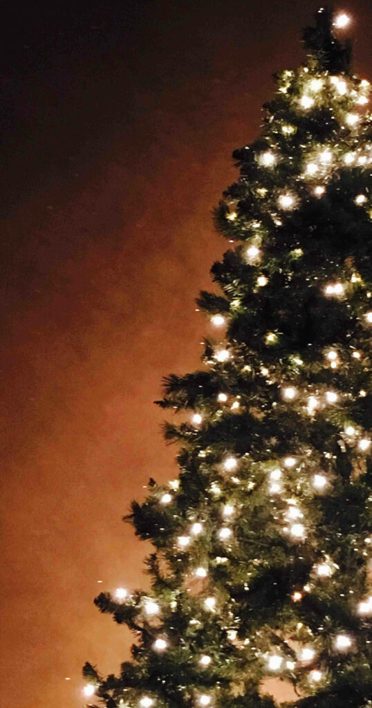 “Beautiful Christmas Tree Wallpaper for a Warm Holiday Atmosphere”