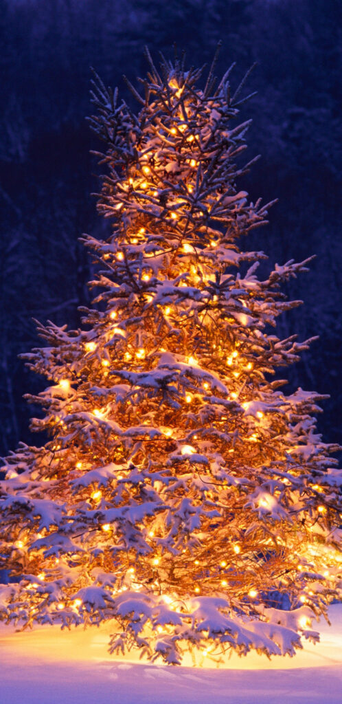 Festive Christmas Tree Wallpaper: Warm Glow in Snowy Night Setting