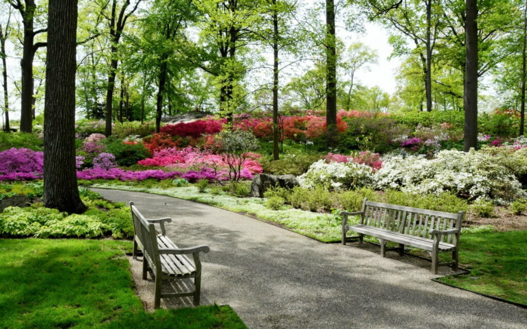 Breathtaking Nature's Wonderland at Belmont Garden Park in New York: Captivating HD Wallpaper Background