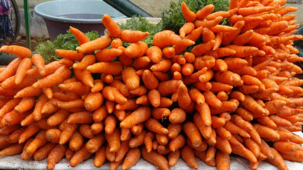 Vibrant Carrot Tapestry: A Captivating Snapshot of Orange Carrot Roots Dancing with Leafy Tops Wallpaper