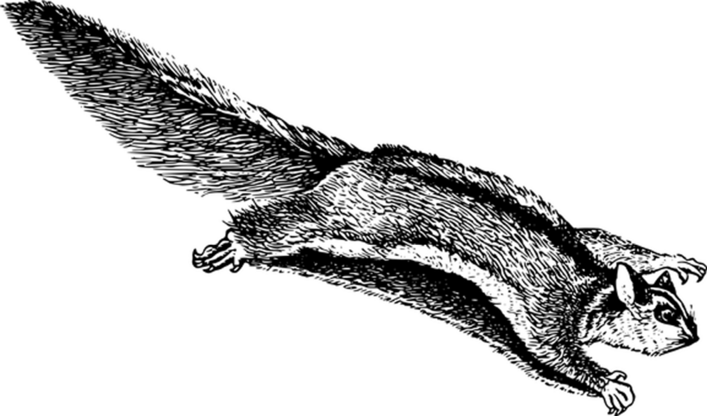 Blank Black Background for Digital Design Projects - Perfect Canvas Wallpaper