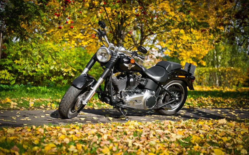 Black Harley-Davidson motorcycle on leaf-covered path with vibrant autumn trees background Wallpaper