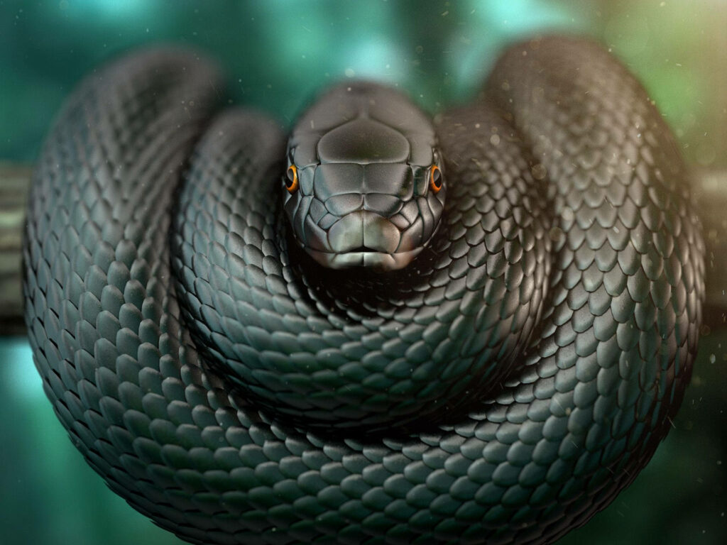 Stunning Black Mamba Snake Wrapped in Tree Branch Wallpaper