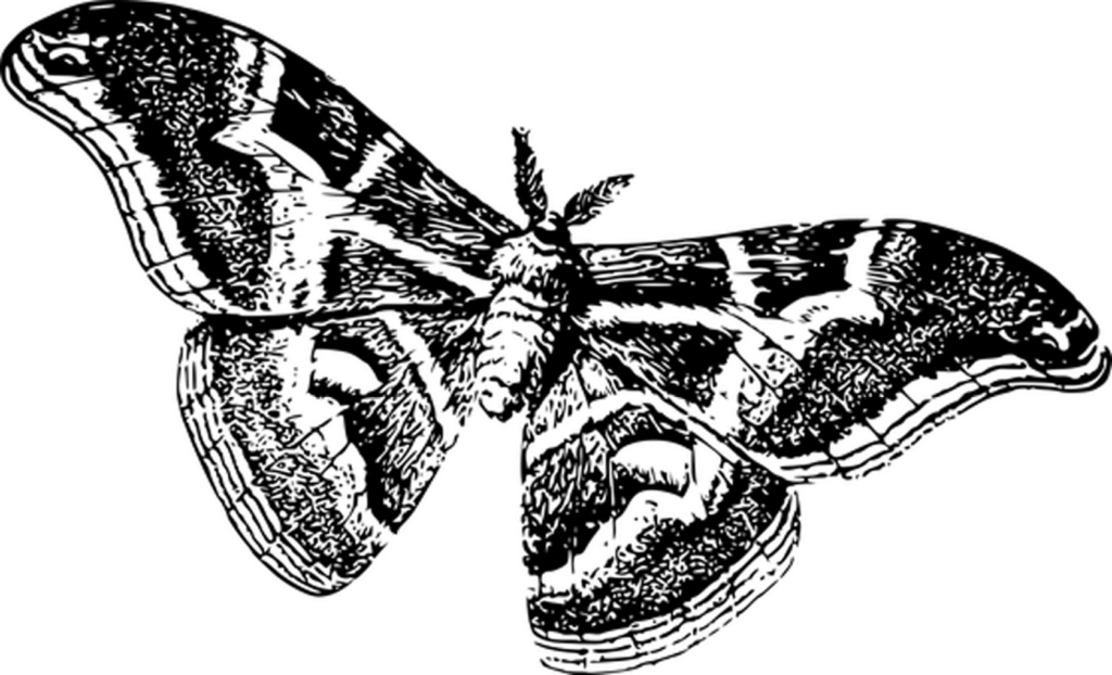 Versatile Black PNG Background for Creative Digital Projects Wallpaper