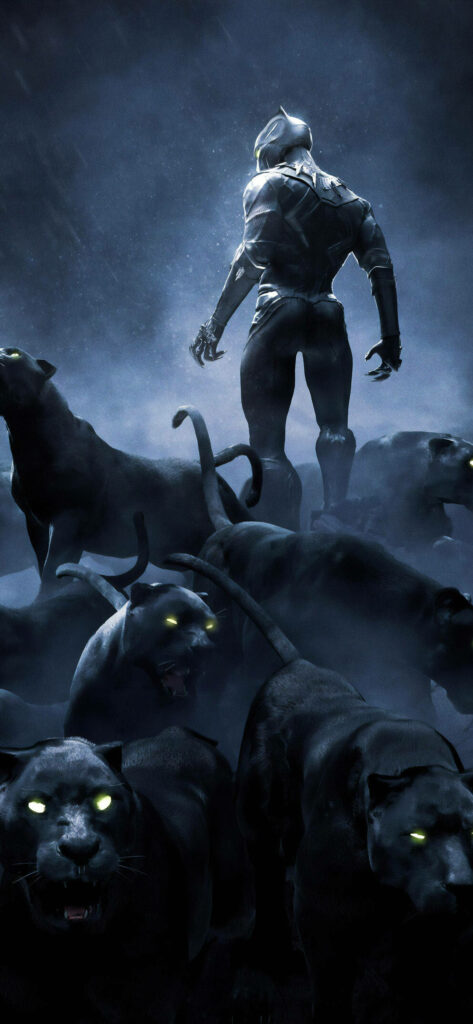 Black Panther TChalla in rain with fierce glowing black panthers heroic Android wallpaper background