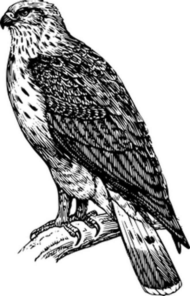 Black Placeholder Image for Design Projects and Mockups Background Wallpaper
