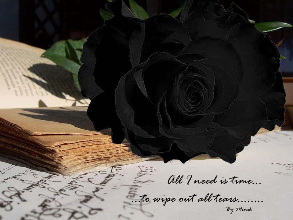Black Rose on Open Book: Reflective Wallpaper with Elegant Quote