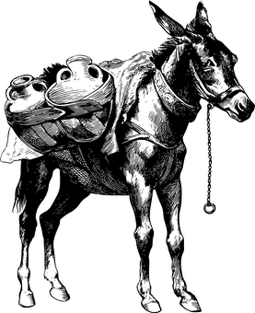Simple Black Screen Placeholder for Creative Graphic Design Projects Wallpaper