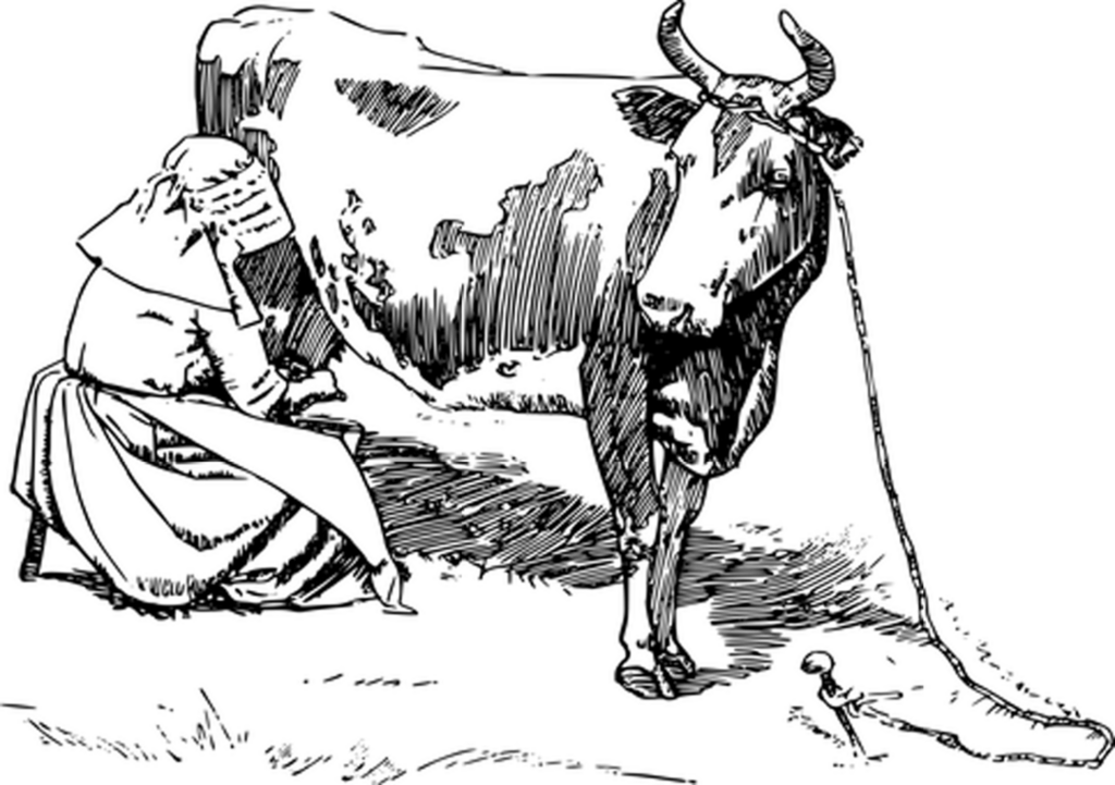 Black Screen Placeholder: Default Background for Digital Applications Wallpaper