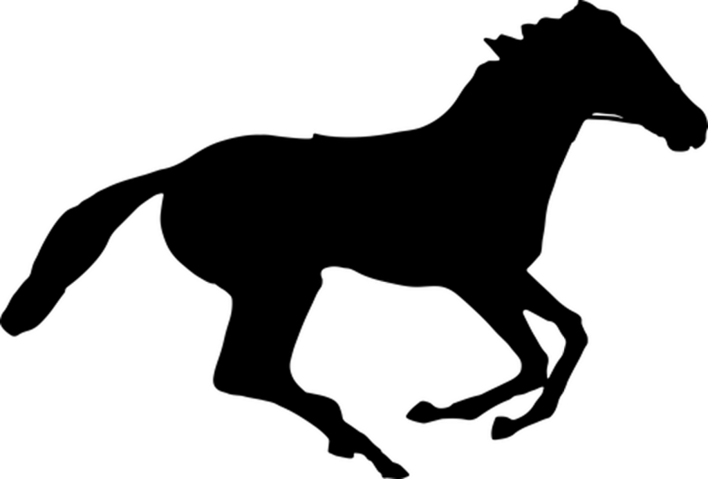 Minimalist Black Screen Background for Digital Projects & Designs Wallpaper