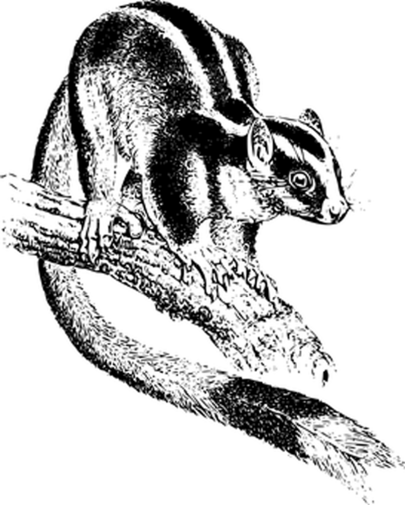 Black Screen Placeholder for Design and Media Projects Background Wallpaper
