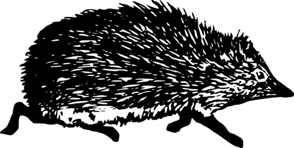 Black Screen Background: Simple Placeholder for Digital Use Wallpaper