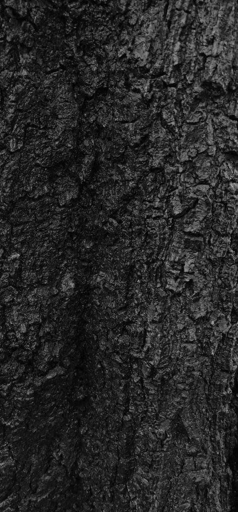 Black Textured Tree Bark Wallpaper: Natural Rugged Patterns