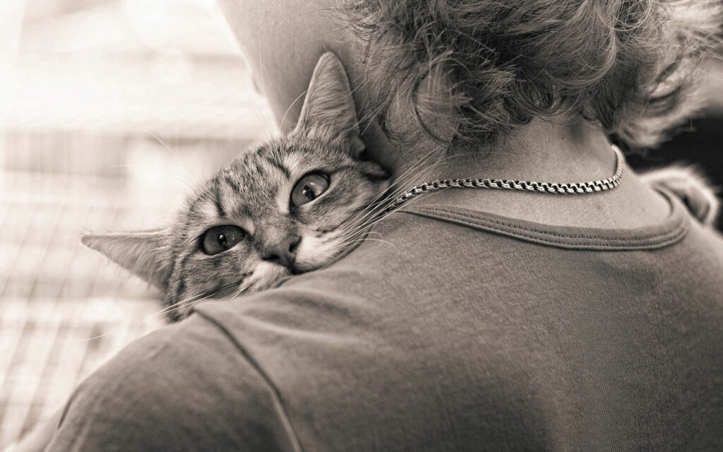 Close-Up of Cat in Loving Embrace - Black and White Wallpaper
