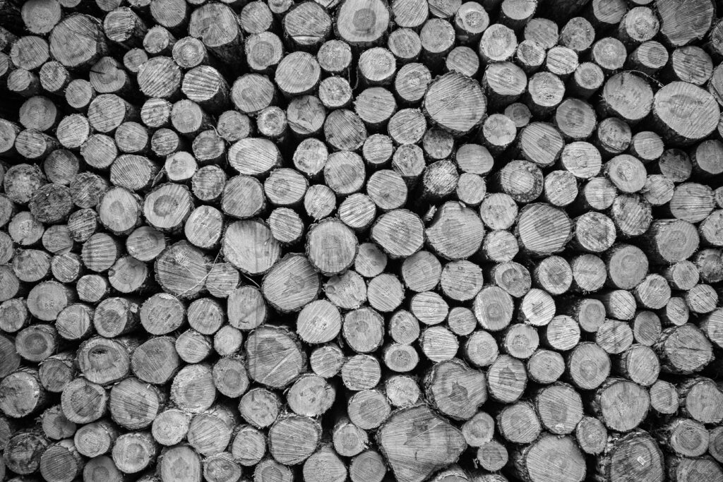 Black and White Tree Logs Wallpaper: Natural Wood Grain Patterns