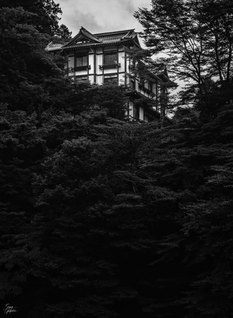 Black and White Wallpaper: Traditional Building Amidst Dense Trees