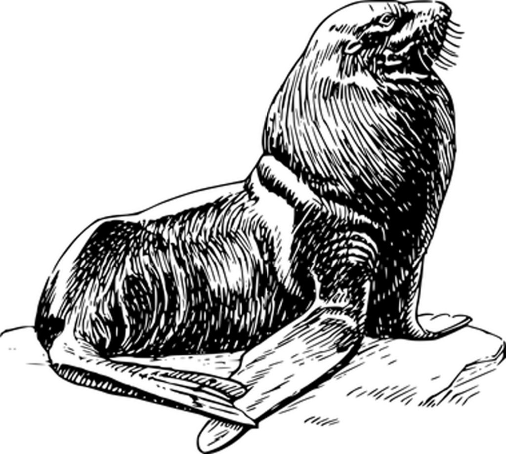 Black Placeholder Background Image for Digital Use Wallpaper