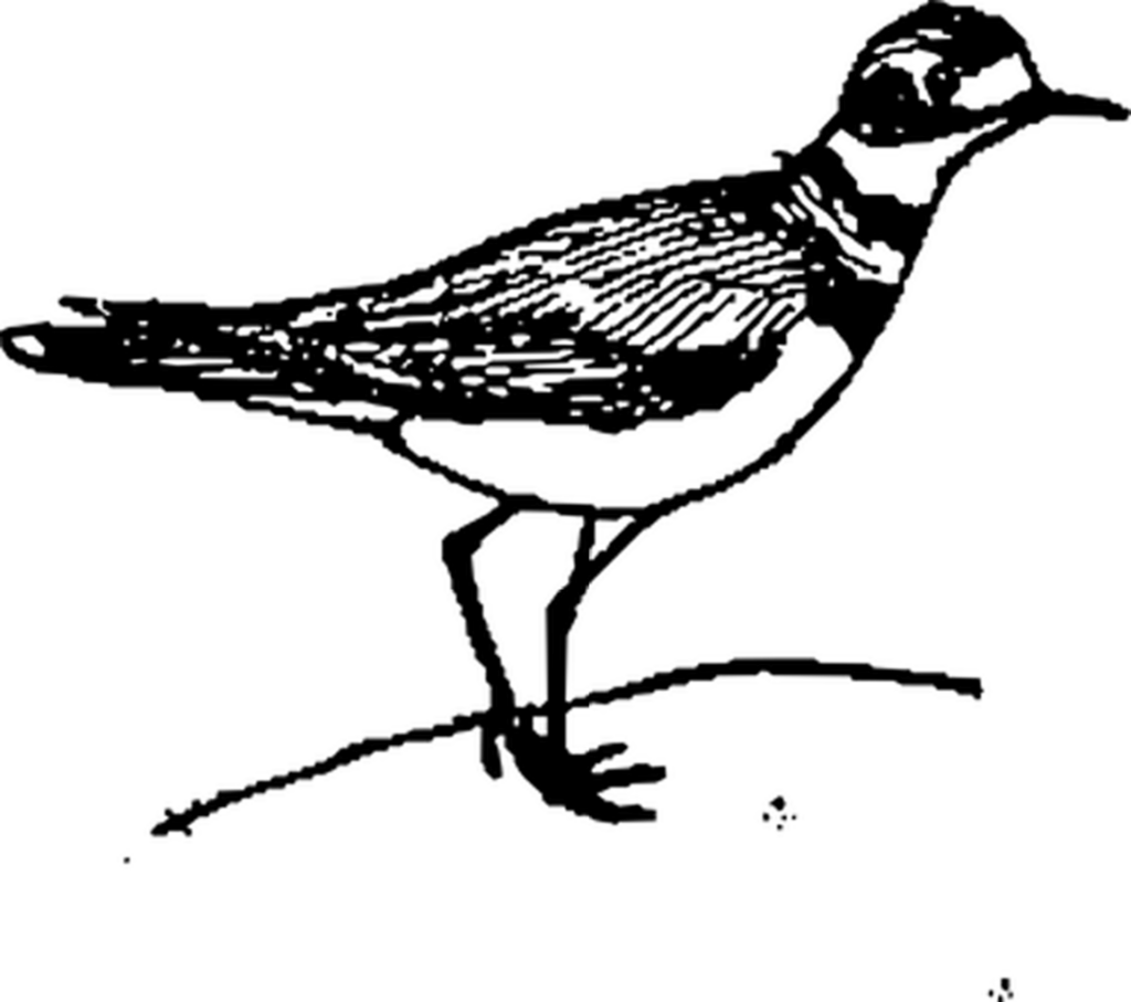 Blank Black Screen Background - Placeholder Image for Design Wallpaper