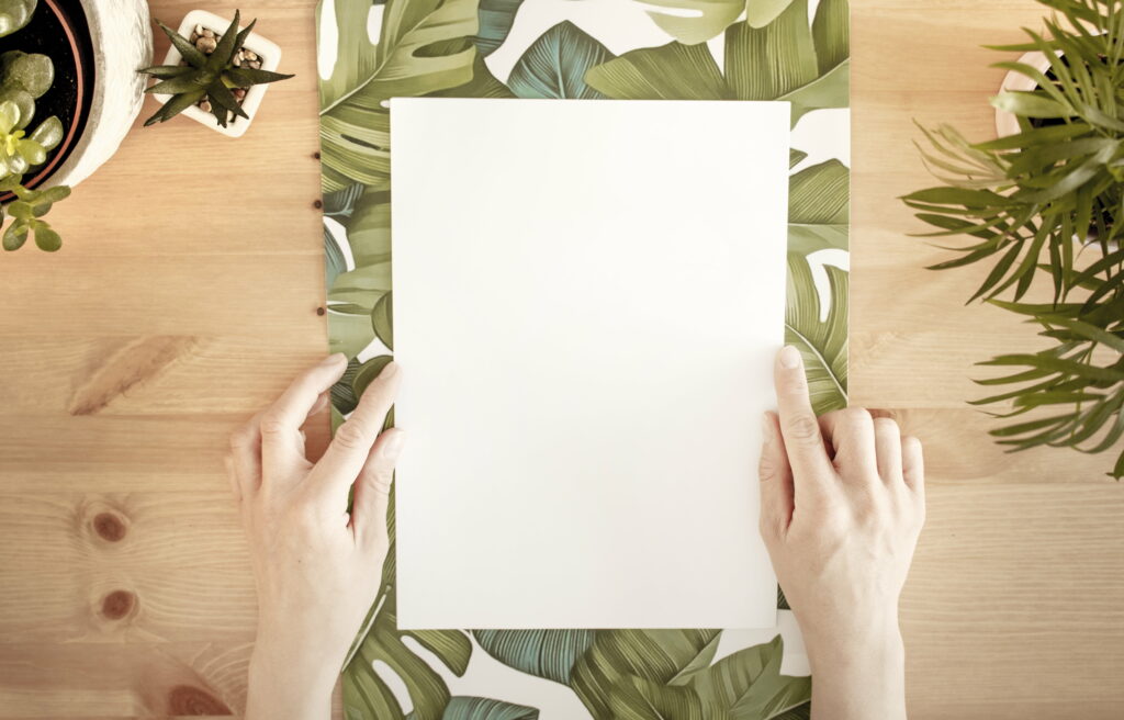 Blank Canvas: A Creative's White Paper in 5K Wallpaper