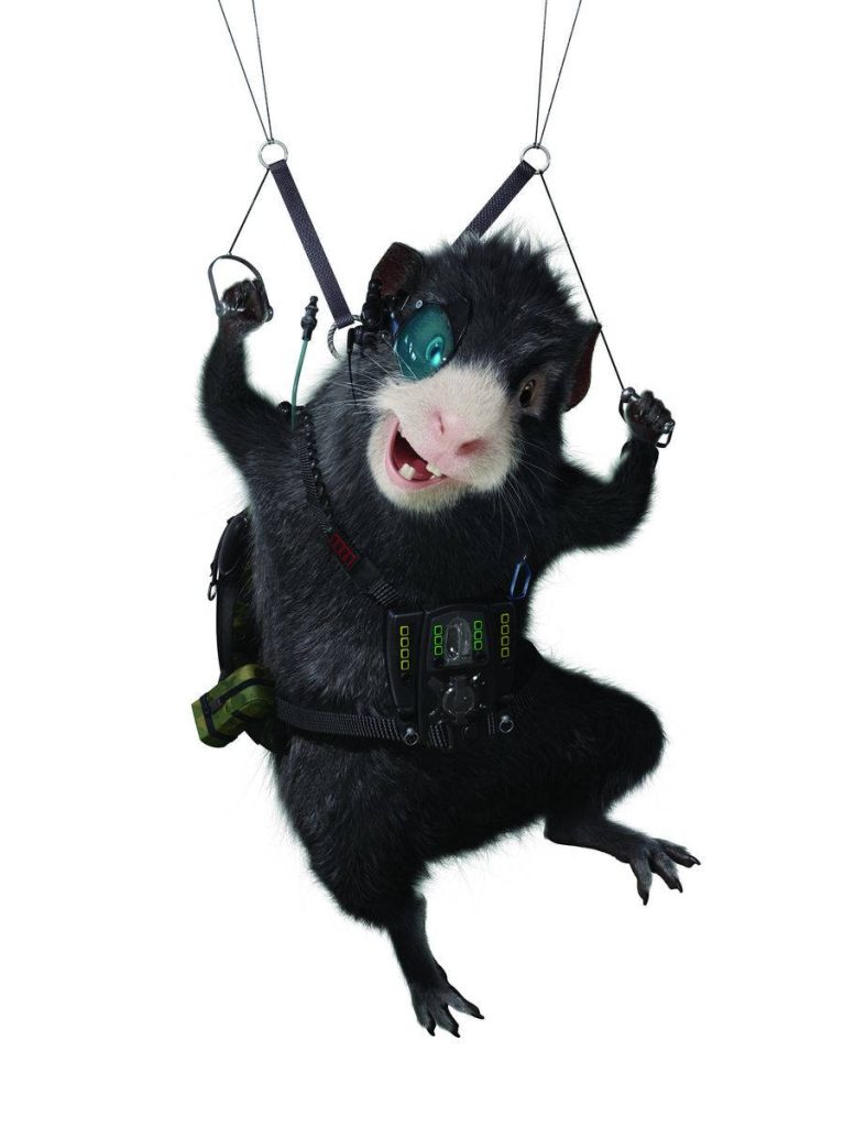 Blaster the black guinea pig parachuting with spy harness and monocle G-Force CGI wallpaper