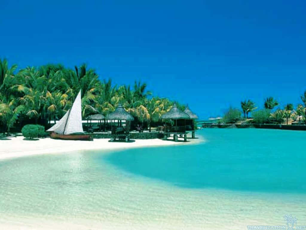 Paradise Tropical Beach: Blissful Escape with Turquoise Waters & Palms Wallpaper