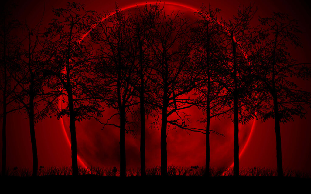 Blood Moon Enchantment: Forest Night Sky Wallpaper