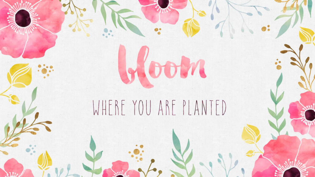 Inspirational boho desktop wallpaper with watercolor floral border and Bloom Where You Are Planted quote