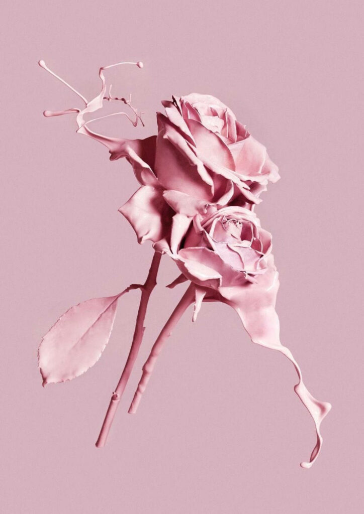 Floral Liquid Blooms: Vibrant Pink Roses Illuminate a Springtime Iphone Background Wallpaper