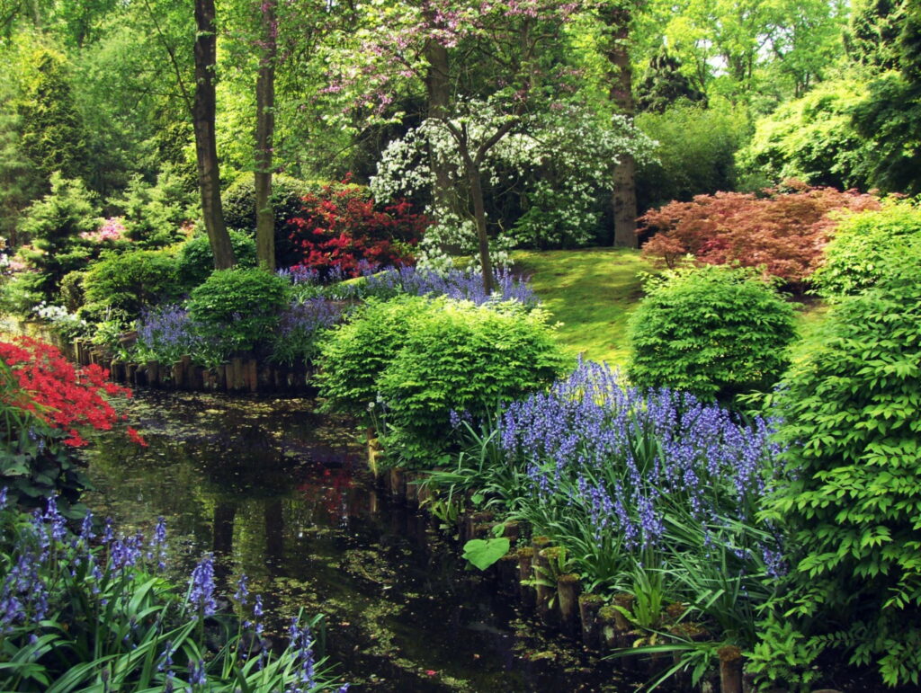 Blooming Paradise: A Vibrant Springtime Spectacle in a Bonito Park Creek Wallpaper