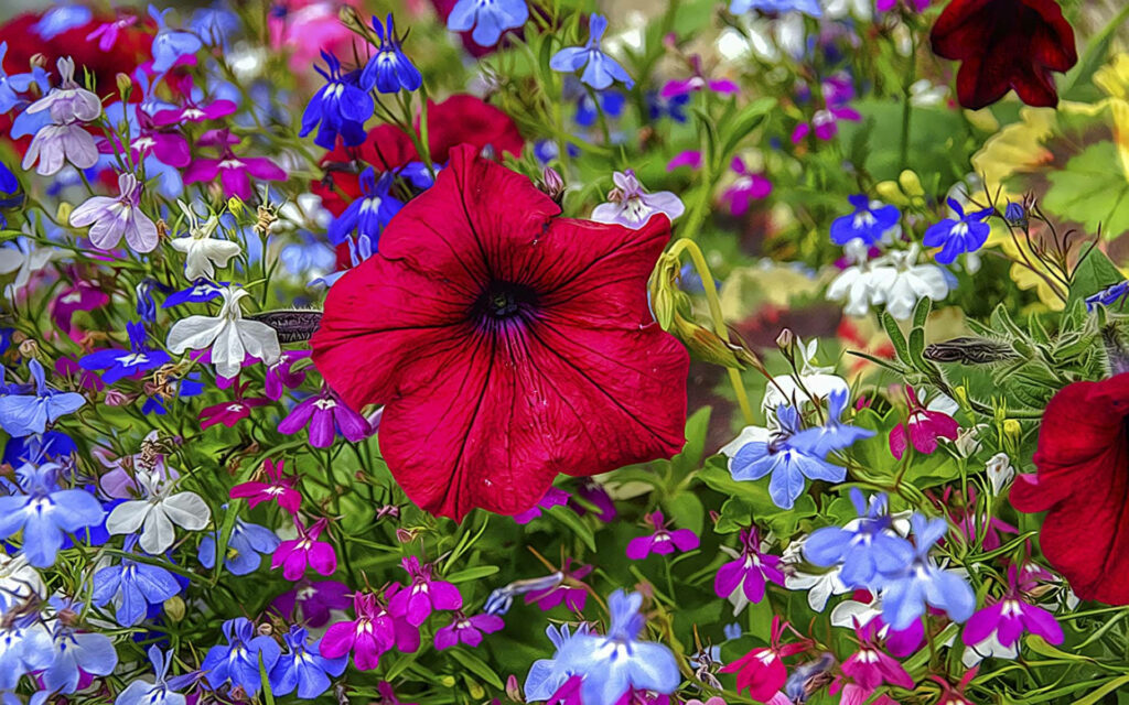 Vibrant Floral Delight: A Burst of Colors Blossoms in Captivating Tumblr Background Wallpaper