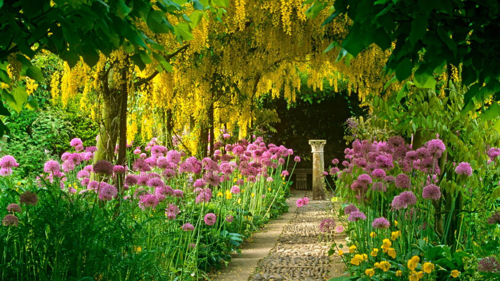 Blooming Delights: A Captivating Garden Oasis in HD Wallpaper