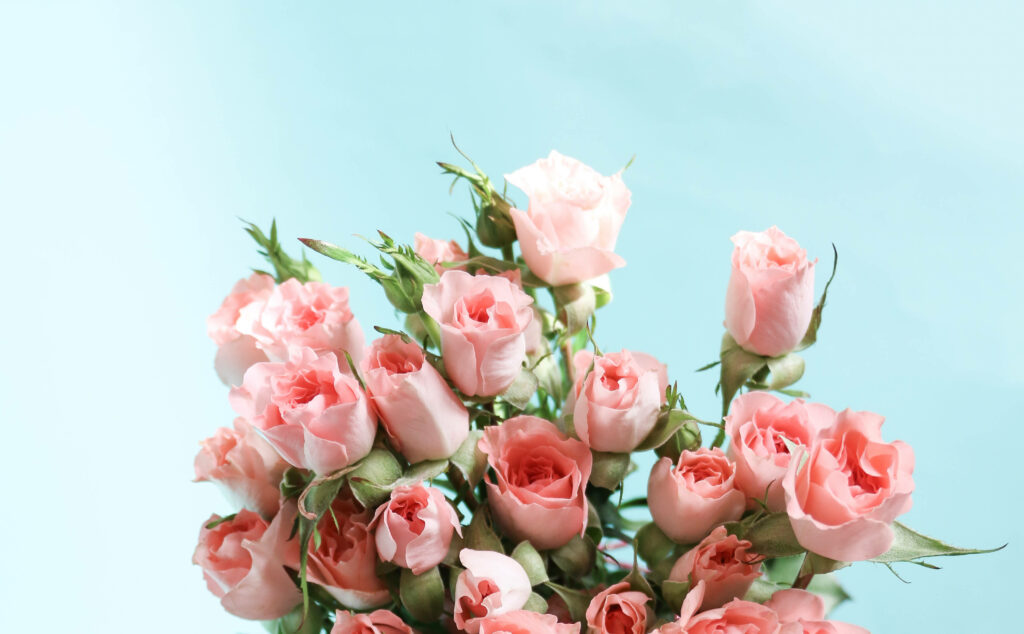Pretty in Pink: An Aesthetic Desktop Delight with Roses Galore Wallpaper