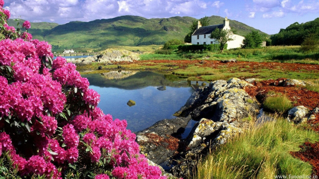 Embrace Nature's Masterpiece: A Breathtaking Spring Landscape Radiating with Lush Green Valleys and Vibrant Blooms Wallpaper